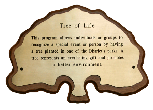 Tree of life plaque